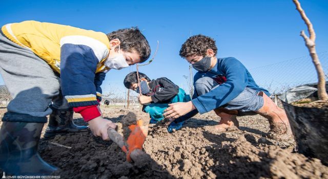 2020 yılında 363 bin meyve fidanı dağıtıldı