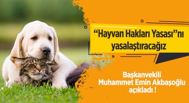 AK Parti'den 'Hayvan Hakları Yasası' açıklaması: Önümüzdeki haftalarda yasalaştıracağız