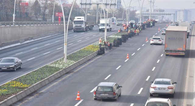 Ankara&#039;nın kışı da rengarenk