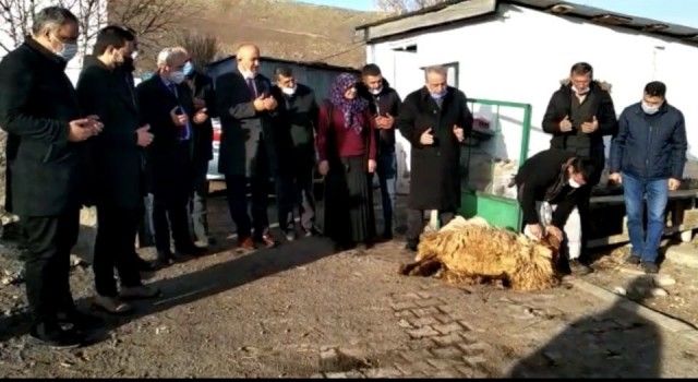 Ardahan&#039;da eski Milletvekili Kaya&#039;ya kurbanlı karşılama