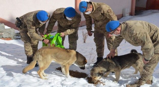 Ardahan&#039;da soğuk hava etkili oluyor