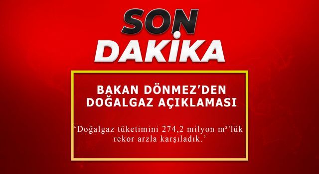 Bakan Dönmez'den doğalgaz tüketimi açıklaması