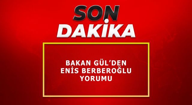 Bakan Gül'den Enis Berberoğlu yorumu