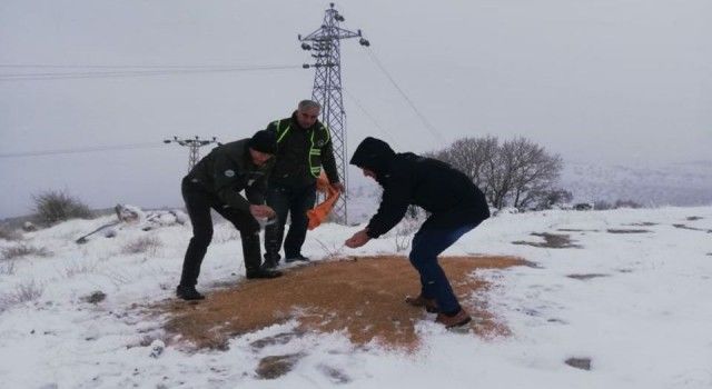 Batman'da doğaya 2 ton yem bırakıldı