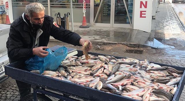 Bayburt'un Çoruh Balığı lezzet vaat ediyor