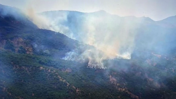 Baykan'da ormanlık alanda çıkan yangın kontrol altına alındı