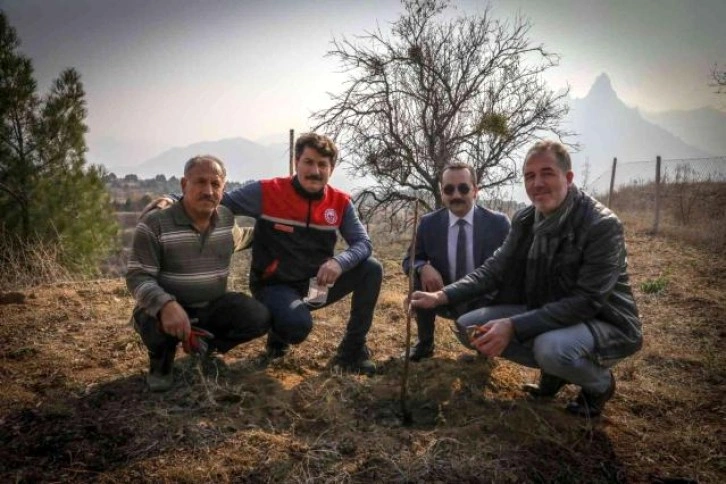 Boş tarlalar meyve ile bereketlenecek