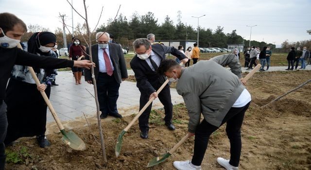 Bursa Uludağ Üniversitesi'nde 'yabancı' öğrencilerdan fidan dikimi