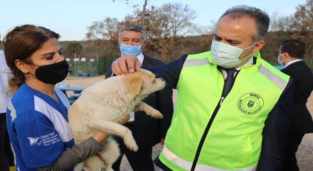 Bursa'da emekli hayvanlara Başkan Aktaş'tan ziyaret