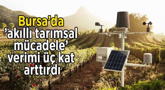 Bursa'da 'akıllı tarımsal mücadele' verimi üç kat arttırdı