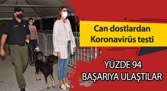 Can dostlardan koronavirüs testi