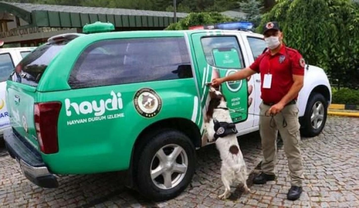 Can dostlarımıza yardımcı olacak HAYDİ uygulaması kullanıma sunuldu