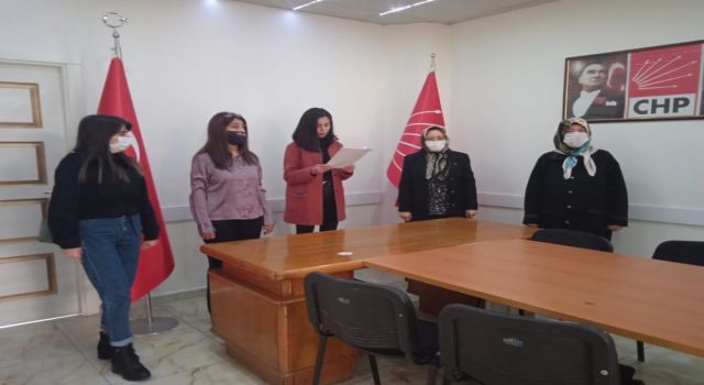 CHP Kilis Kadın Kolları'ndan şiddet ve cinayet tepkisi