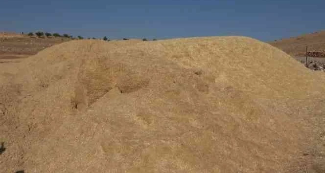 Çiftçilerin kış hazırlığı şimdiden başladı   