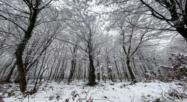 Düzce'de kar, kartpostallık görüntüler oluşturdu