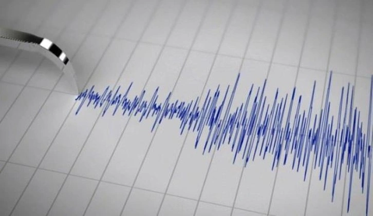 Endonezya'da 7.3 büyüklüğünde bir deprem! Tsunami uyarısı yapıldı