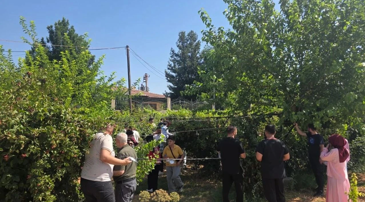 Engelsiz Yaşam Merkezi&rsquo;nde B&ouml;ğ&uuml;rtlen Hasadı