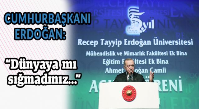 Erdoğan: "Dünyaya mı sığmadınız..."