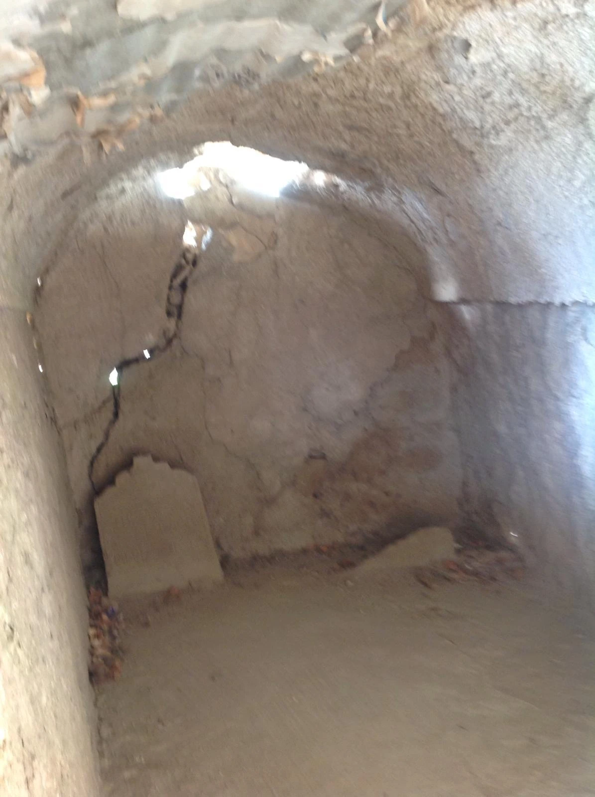 Eş Şeyh Hüseyin El Naccar Türbesi bakımsızlıktan çürüyor