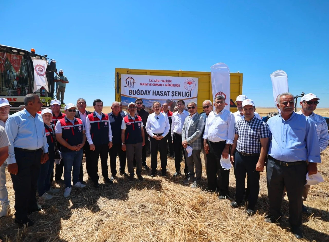 Garzan Ovasında Buğday Hasadı Başladı
