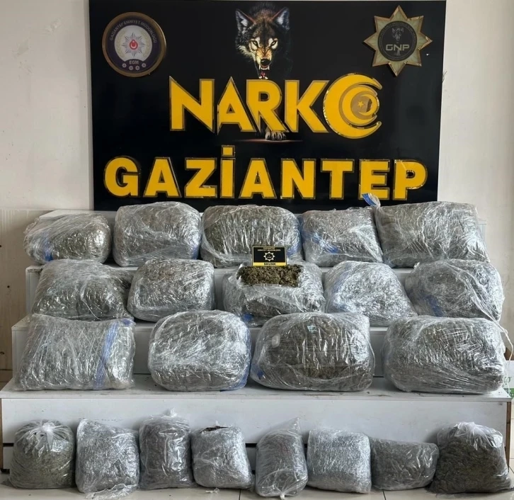 Gaziantep’te 78 kilogram skunk ele geçirildi: 1 şahıs tutuklandı