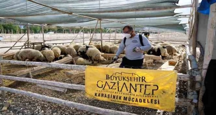 Gaziantep’te kurban bayramı tedbirleri aralıksız devam ediyor