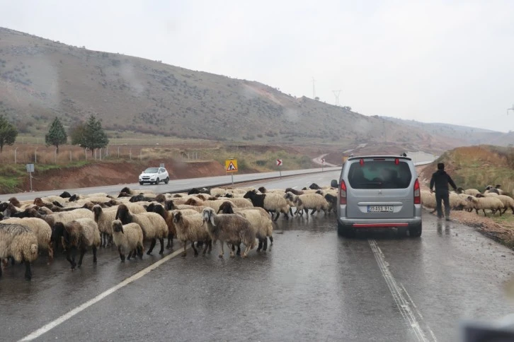 Göçebelerin Siirt’teki Kışlaklara Dönüşü Sürüyor