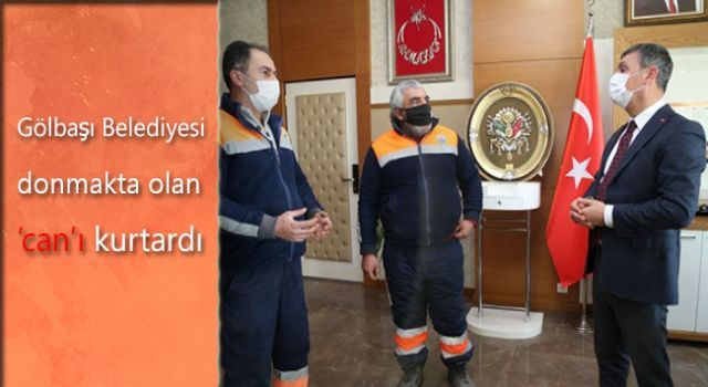 Gölbaşı Belediyesi donmakta olan 'can'ı kurtardı