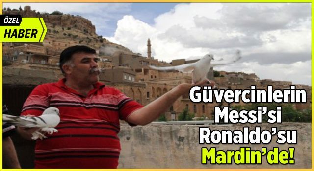 Güvercinlerin Messi'si Ronaldo'su Mardin'de! (ÖZEL HABER)