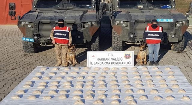 Hakkari'de 48 kilo eroin ele geçirildi