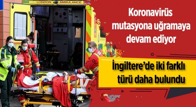 İngiltere'de iki farklı koronavirüs mutasyonu daha bulundu