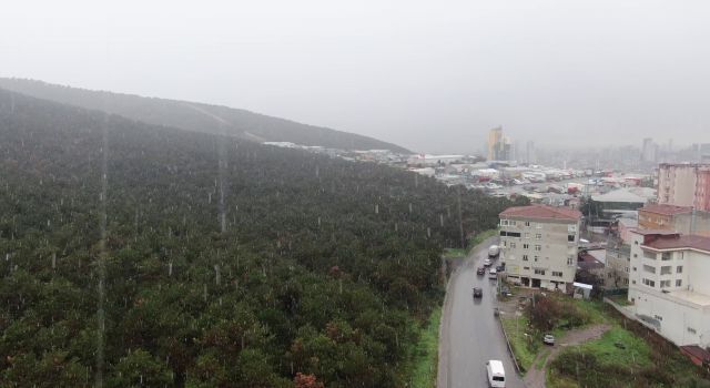 İstanbul'a yılın ilk karı düştü