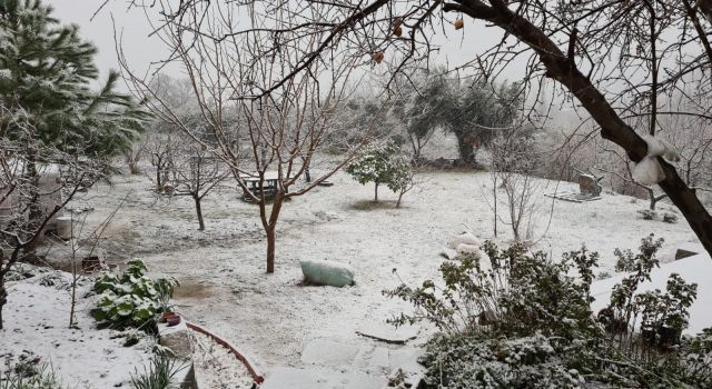İzmir'de kar sevinci