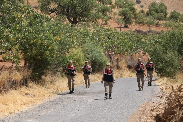 Jandarma, fıstık hırsızlığına karşı bağ ve bahçelerde kuş uçurtmuyor