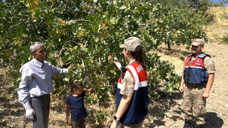 Jandarma hırsızlara karşı nöbet tutuyor