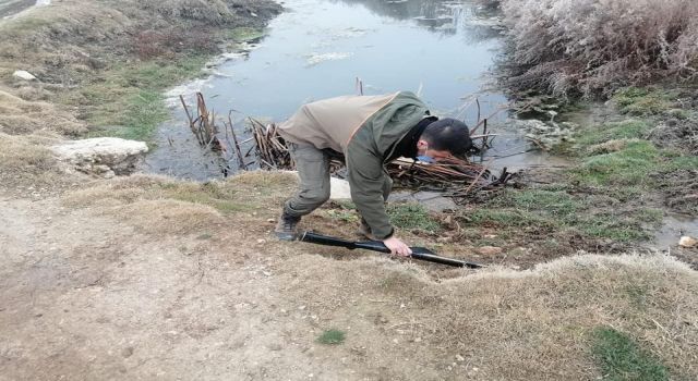 Kaçak avcı ekipleri görünce tüfeğini atıp kaçtı