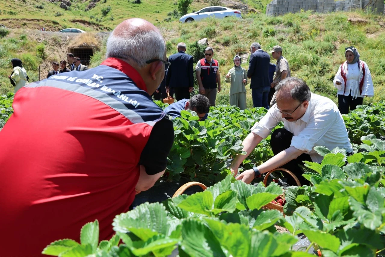 Kadın Emeği &Ccedil;ilekle Ta&ccedil;landı