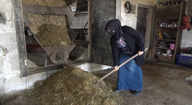 Kadın girişimcinin büyük azmi: Devlet desteği ile başladığı işten şimdi paraya para demiyor