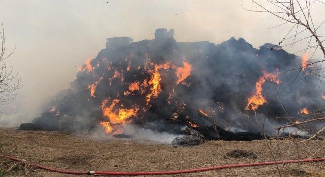 Kahramanmaraş'ta çiftlik yangını