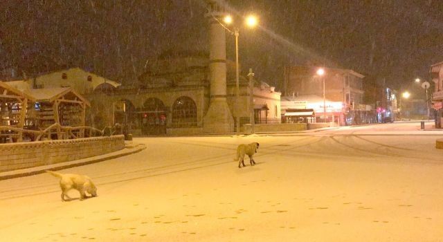 Kangal'da beklenen kar nihayet yağmaya başladı