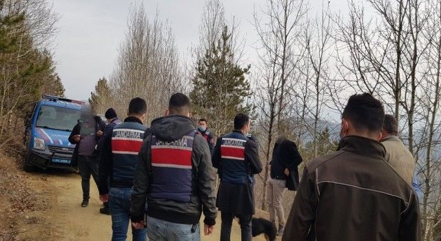 Kastamonu'da geyik avcıları suçüstü yakalandı