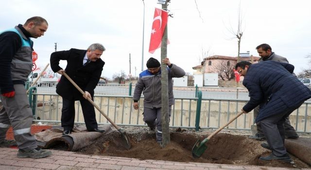 Kayseri Melikgazi'de yeşil seferberlik