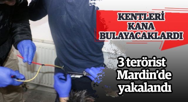 Kentleri kana bulayacaklardı.. 3 terörist Mardin'de yakalandı..