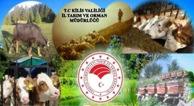 Kilis'te çiftçilere 5 milyon 404 bin liralık ödeme yapıldı