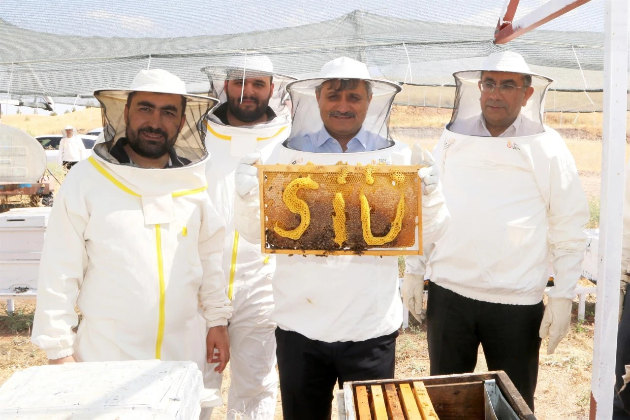 Kovan Başına 40 Kilo