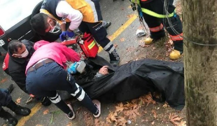 Kozalak toplamak için çıktığı ağaçta elektrik akımına kapılıp öldü