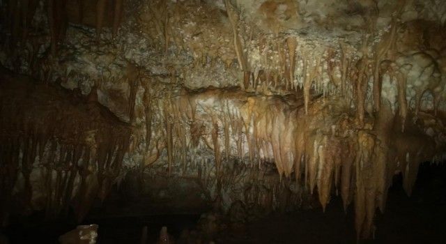 Küre Dağları Milli Parkı'nda 5 mağara keşfedildi