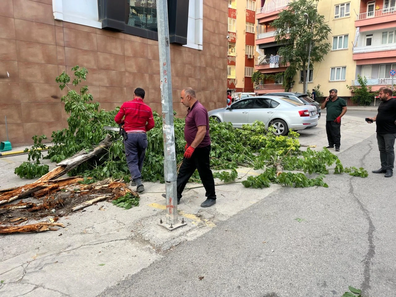Kuvvetli Rüzgar Siirt’i Vurdu: Ağaçlar Devrildi, Çatılar Uçtu, 2 Kişi Yaralandı