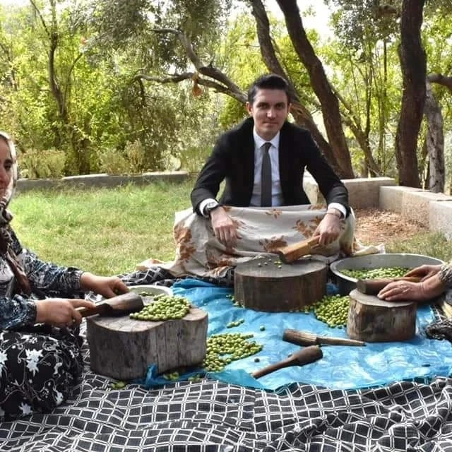 Mardin Derik’te zeytin hasadı başladı