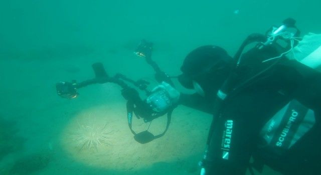 Marmara Adaları'na sucul destek